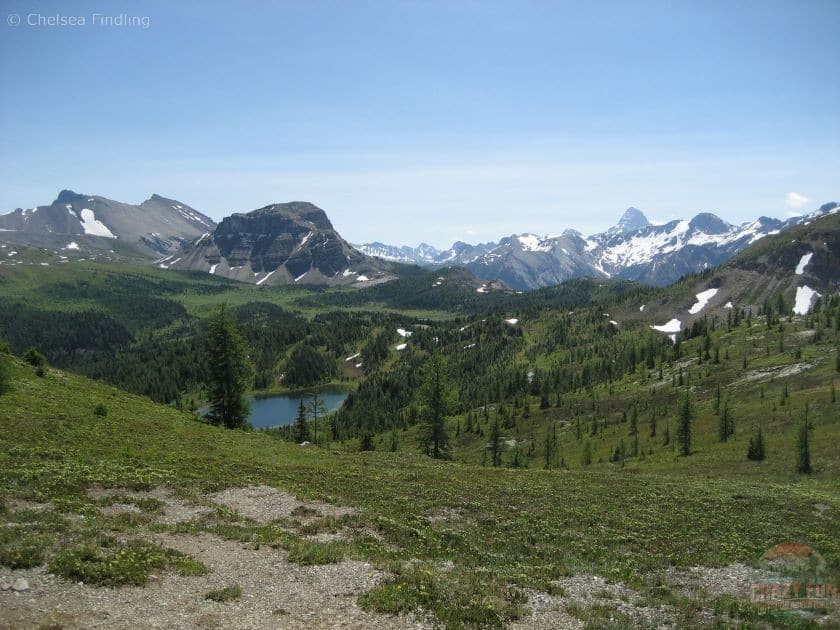 Hikes near Banff include Sunshine Meadows.