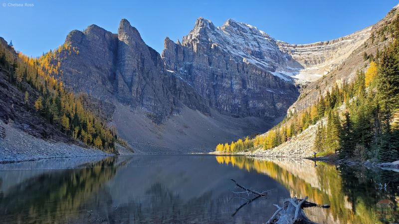 Banff Larch Hikes includes beautiful lake views near Lake Agnes Tea House.