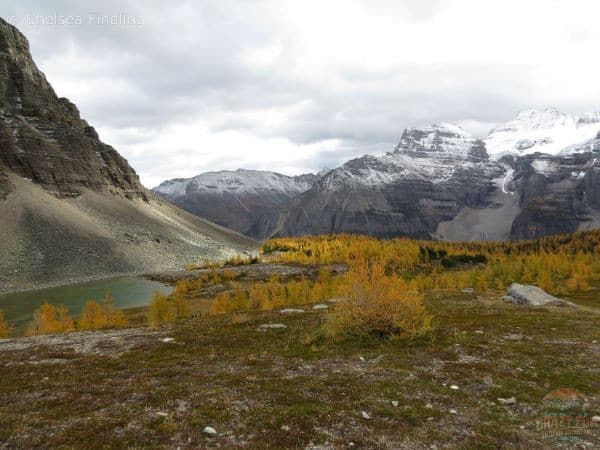 Reaching Larch Valley on Banff Larch hikes.