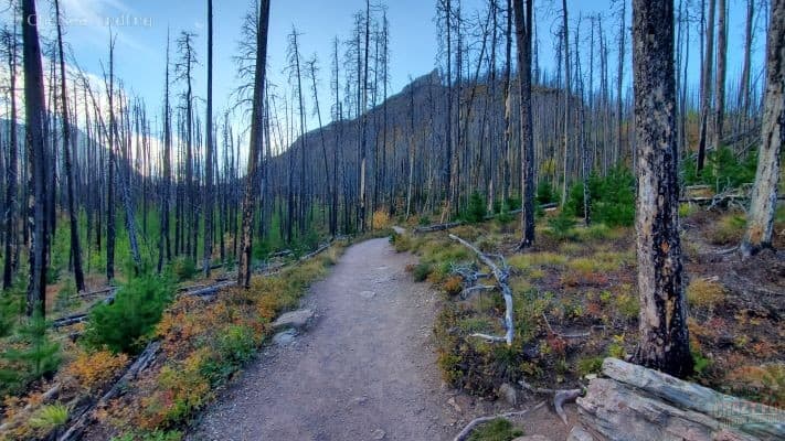 Walking towards Blakiston Fall