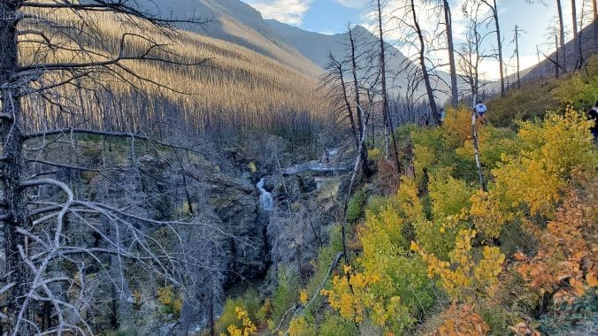 Waterton fall includes Blakiston trail with different coloured leaves. 