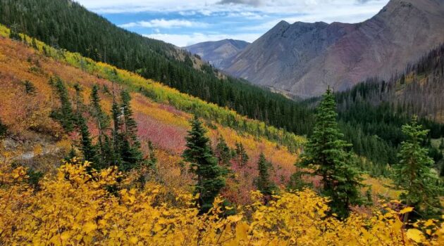 Waterton fall includes Rowe Trail's beautiful colours.