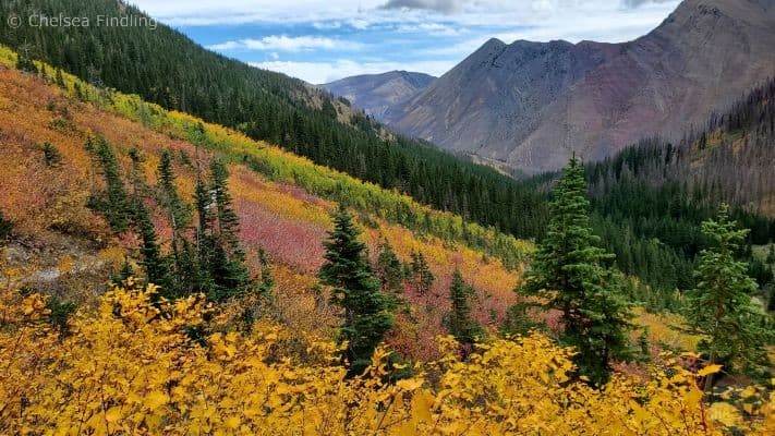 Waterton fall includes Rowe Trail's beautiful colours. 