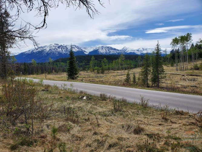 Jasper summer on Pyramid Bench trails