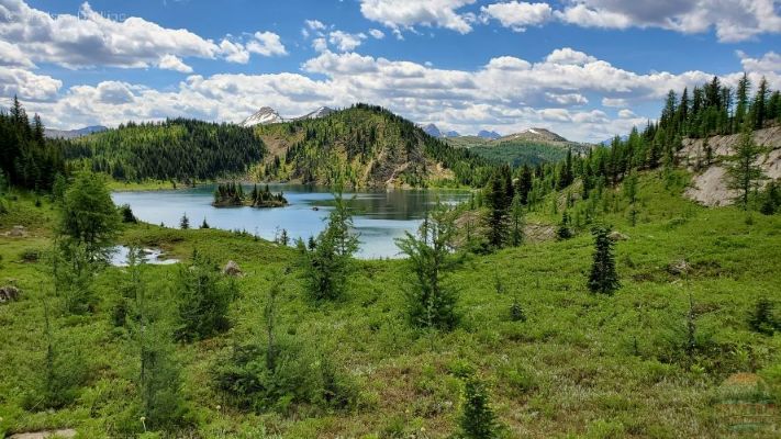 Banff Unique Experiences: 3 Days Summer Itinerary: Sunshine Meadows hiking