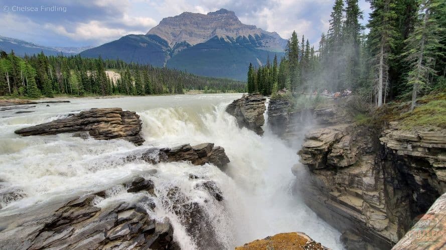 Jasper summer at Athabasca Falls
