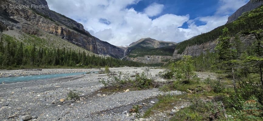 Whitehorn campsite beside a rushing river, surrounded by evergreen trees with towering mountains in the background.