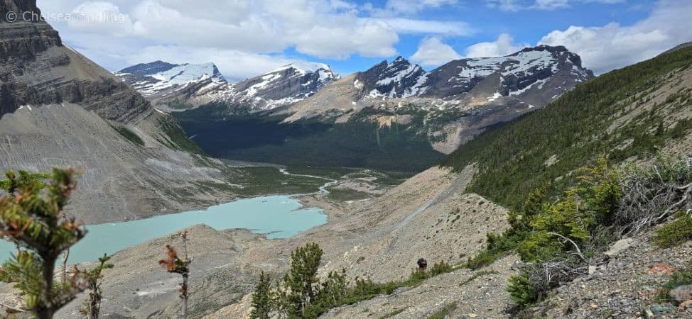 View looking down towards Robson Lake from a high vantage point on the trail.