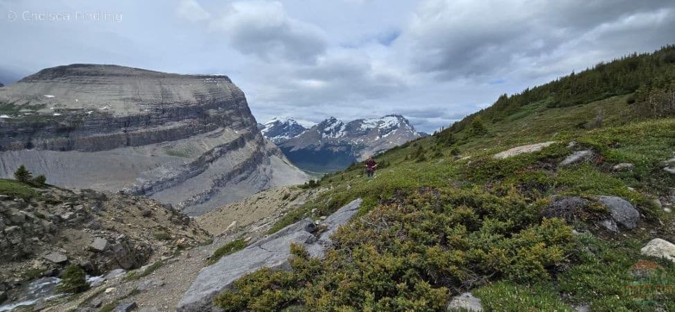 Achieved the the subalpine section with open meadows and mountain views. 