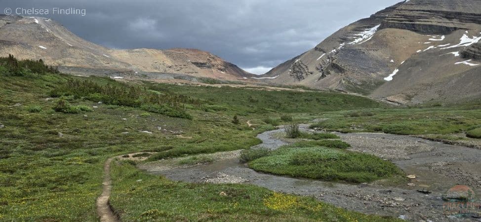 Approaching Snowbird Pass summit as the weather shifts in the Canadian Rockies. 