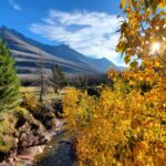 Looking through yellow leaves at mountain views during Fall hikes in Waterton.