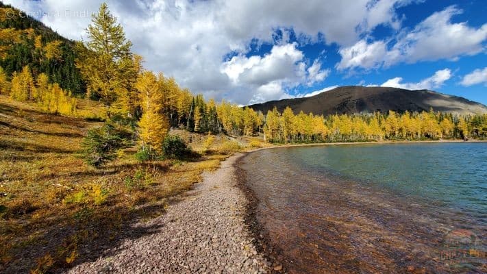 Upper Rowe Lake surrounded by golden larches in Waterton Lakes National Park.