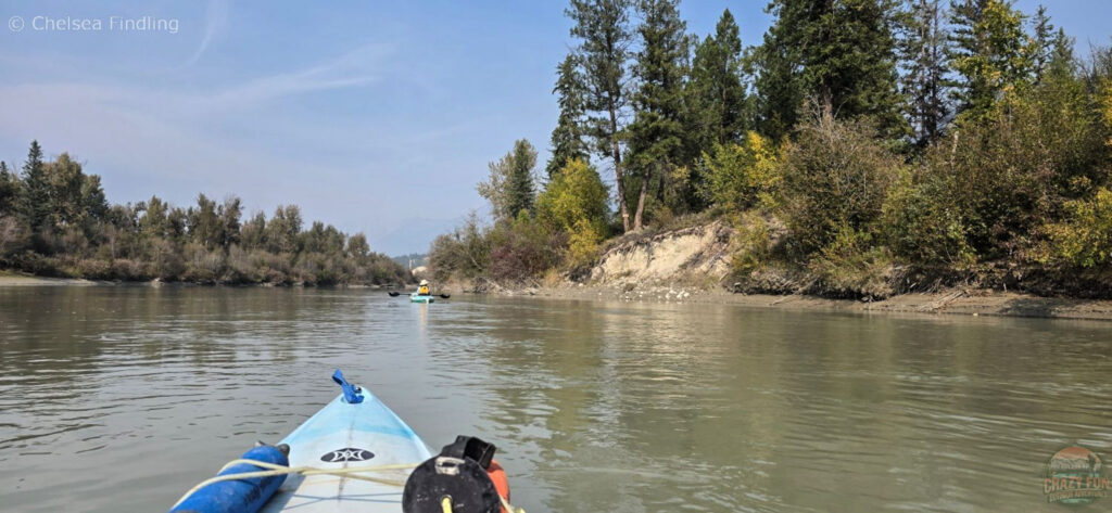 Kilometer markers nailed to trees along the riverbank.