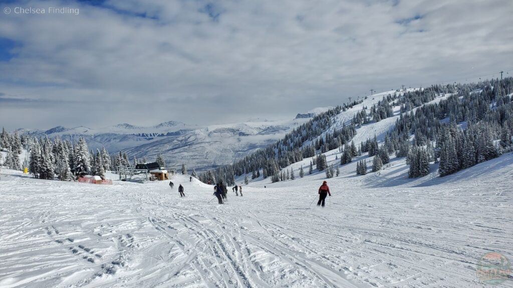Downhill skiing to the right of the Knob Chair at Marmot Basin ski resort, featuring expansive Rocky Mountain views.