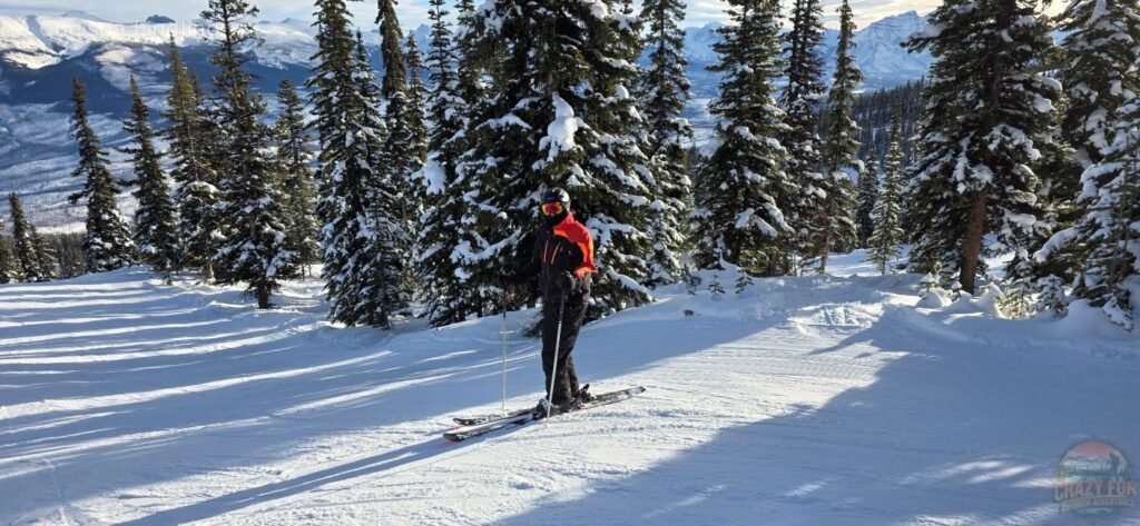 Man skiing in front of snow-covered trees with mountains in the background.