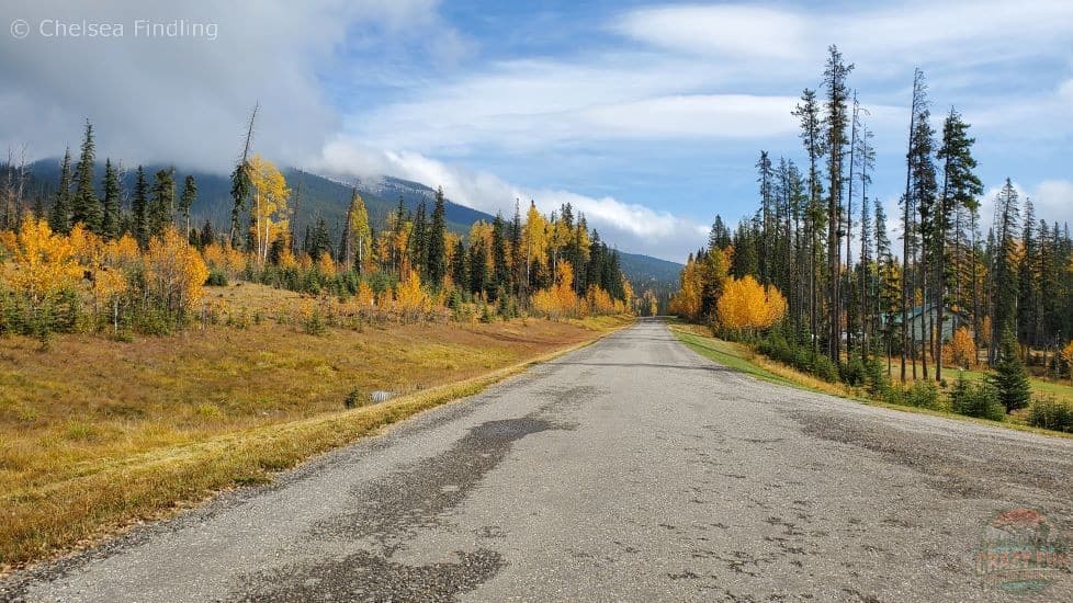 Fall view of a vacation stay in Nordegg showing yellow autumn leaves, outdoor lodging, and a cozy mountain-area setting in the Canadian Rockies. 