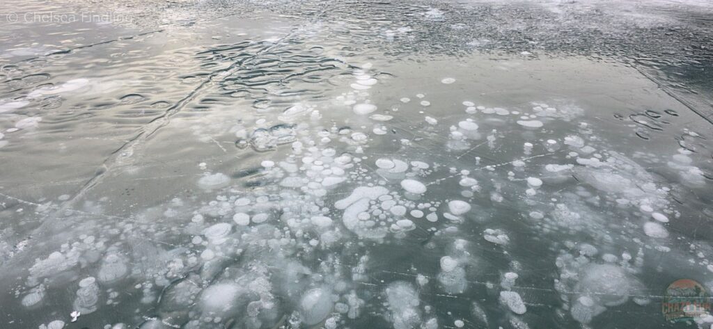 Frozen methane bubble pancakes under the ice at Hoodoo Creek Trailhead.
