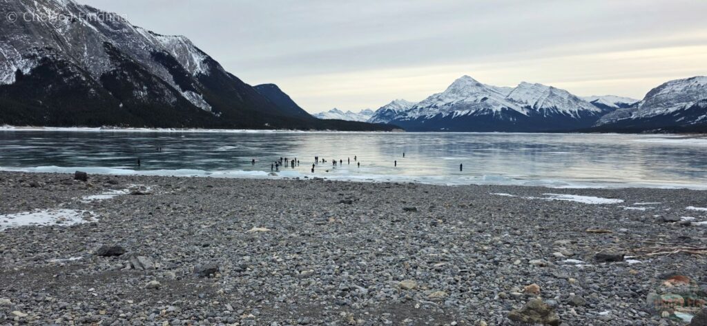 Crowd of visitors standing on the frozen surface of Abraham Lake, surrounded by snow-covered mountains. 