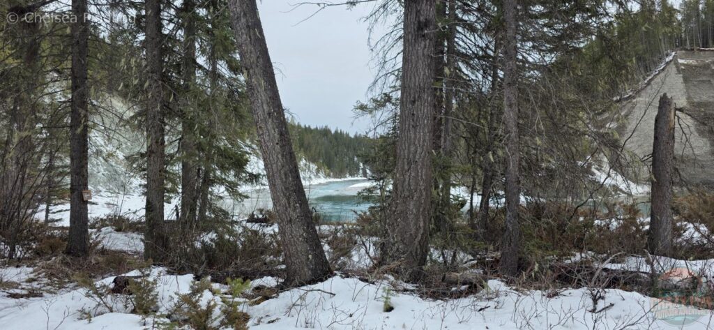 View of a turquoise river from a cross-country skiing trail in the mountains.