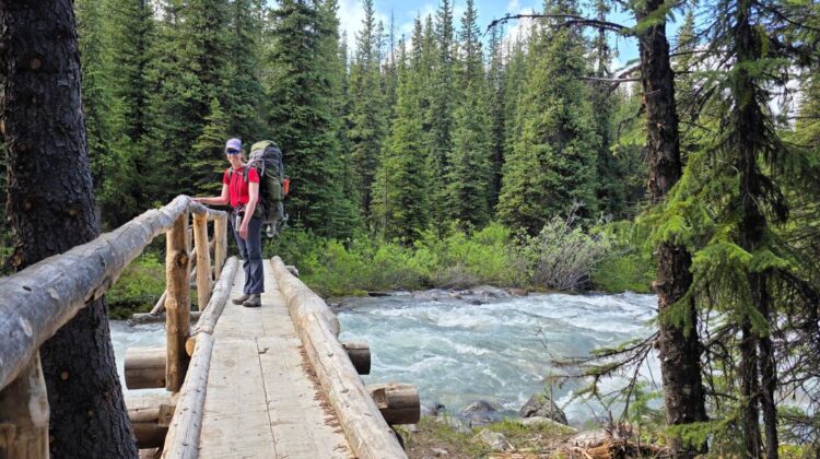 Backpacker crossing a bridge over flowing water near Evelyn Creek campground on the Skyline Trail.