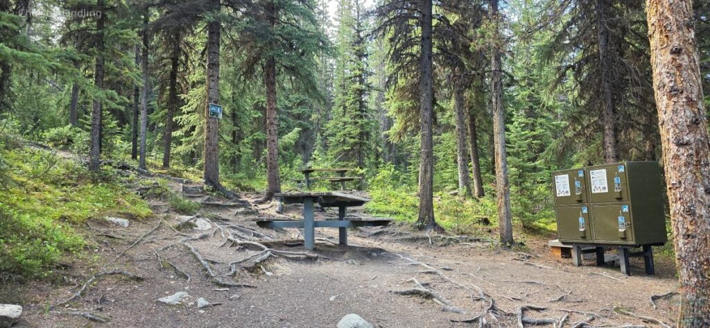 Picnic tables and bear lockers at the campground.
