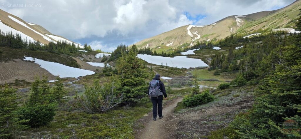 Hiker climbing to Little Shovel Pass on the Skyline Trail. 