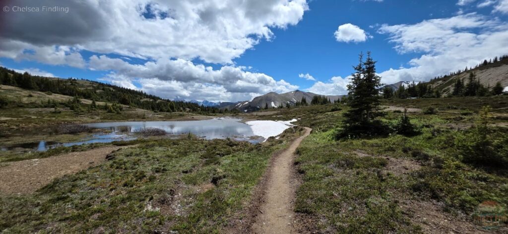 View of the trail with mountains in the background
