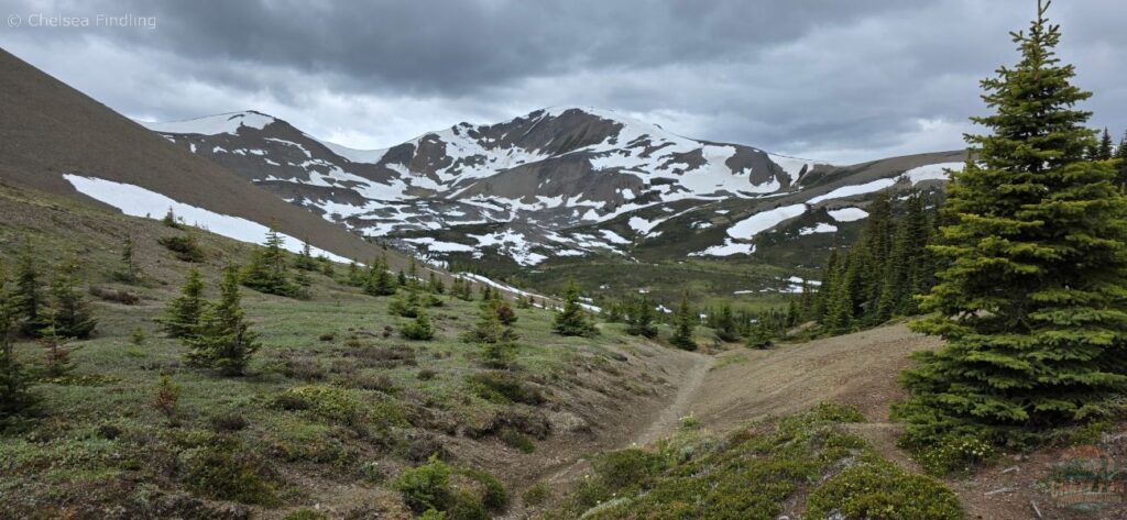 View from Little Shovel Pass toward Snowbowl Campground

