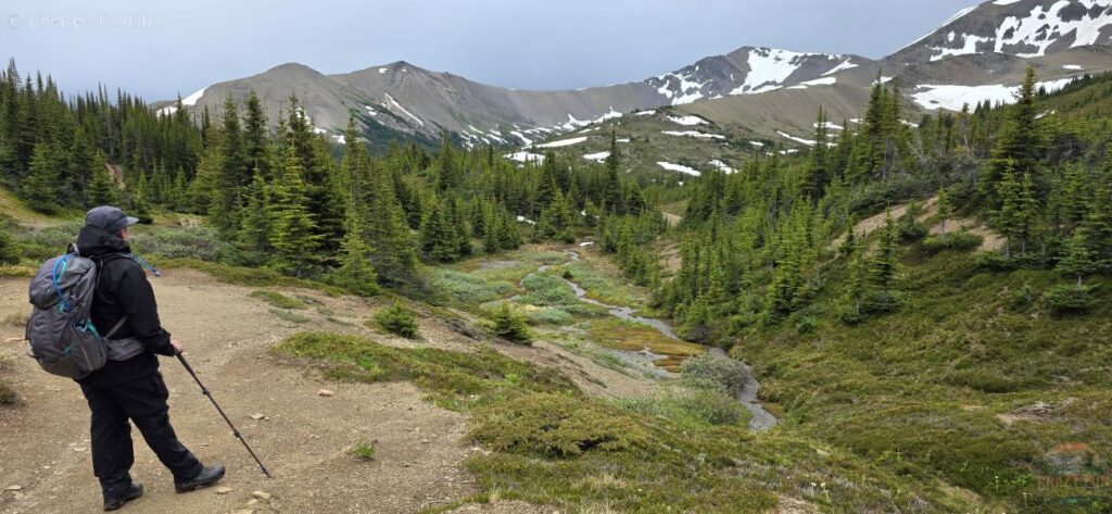 Hiker looking towards the mountains.