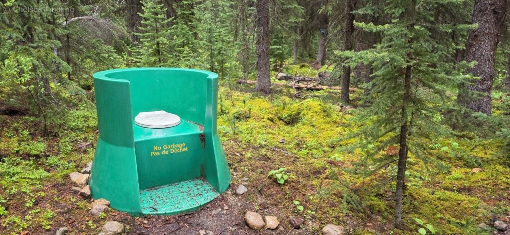 Pit toilet surrounded by nature